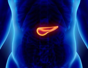 ADROTERAPIA PER IL CARCINOMA DEL PANCREAS: A CHE PUNTO E' LA RICERCA?