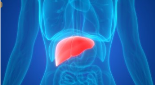 Carcinoma epatocellulare: interesse in aumento per l’adroterapia