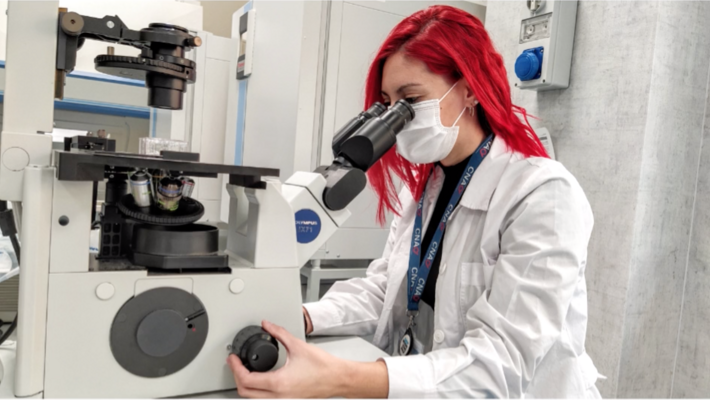 Research activities at CNAO