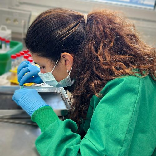 Progetto CROSS: L'Efficacia della Sequenza Ioni Carbonio - Fotoni per i tumori radioresistenti Progetto CROSS: L'Efficacia della Sequenza Ioni Carbonio - Fotoni per i tumori radioresistenti